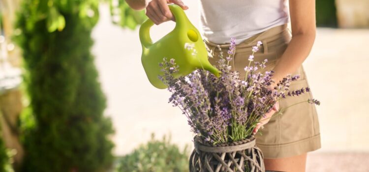 Quelle plante anti-stress choisir selon ses symptômes ?